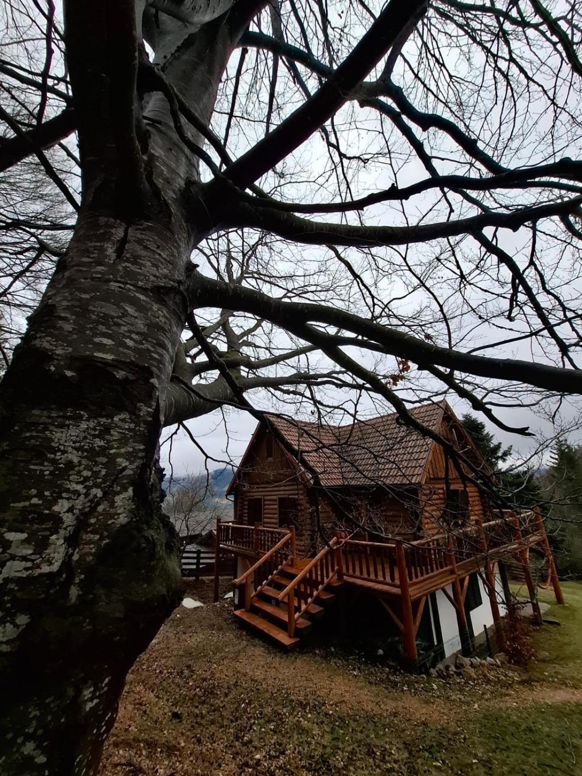 Veresko Villa Lacu Roșu Extérieur photo